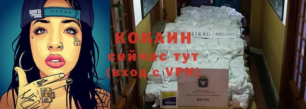 прущие грибы Аркадак