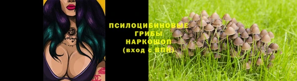 дживик Арсеньев