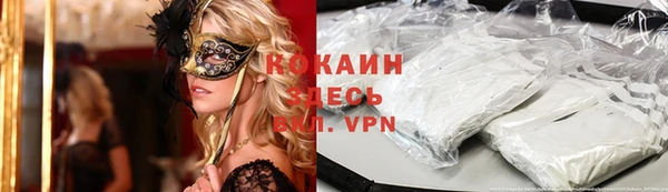 прущие грибы Аркадак