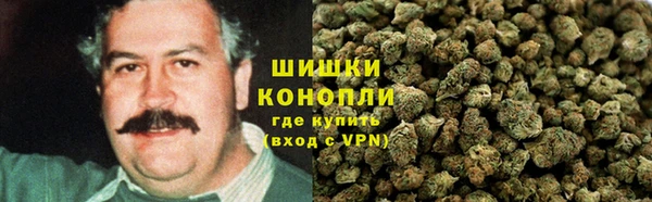 дживик Арсеньев