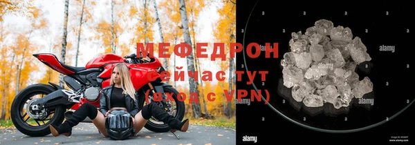 прущие грибы Аркадак
